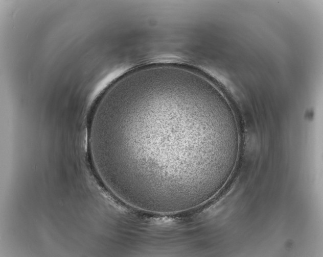 X0000093731317200710231144