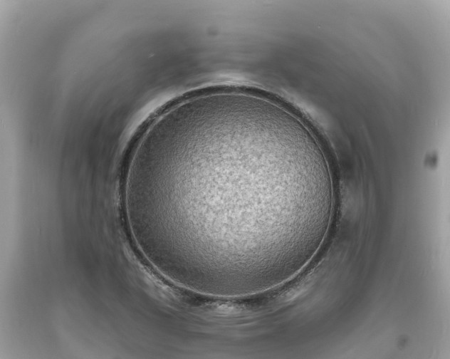 X0000093731318200710231144