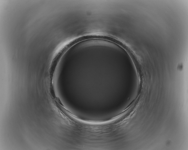 X0000093731319200710231144