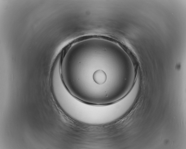 X0000093731320200710231144