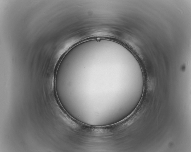 X0000093731322200710231144