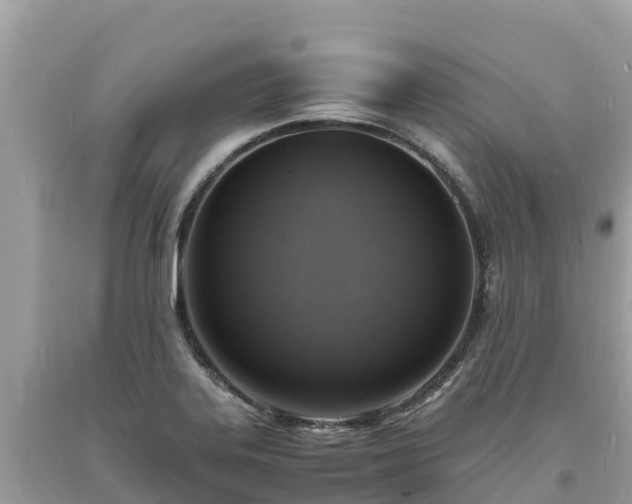 X0000093731323200710231144