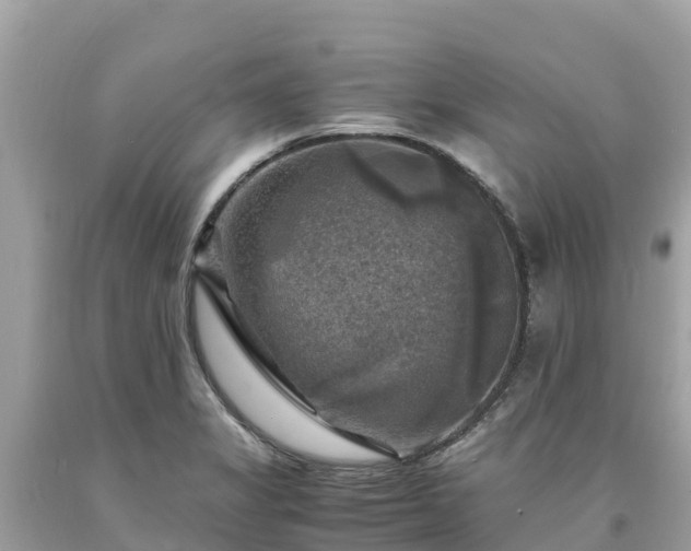 X0000093731325200710231144