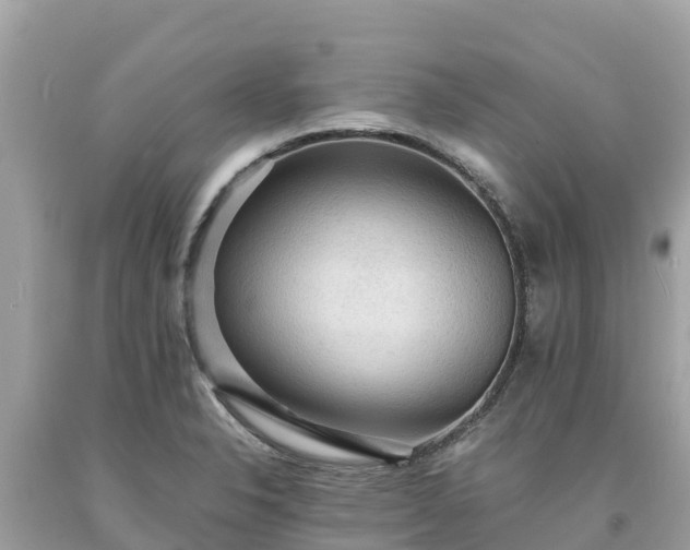 X0000093731326200710231144
