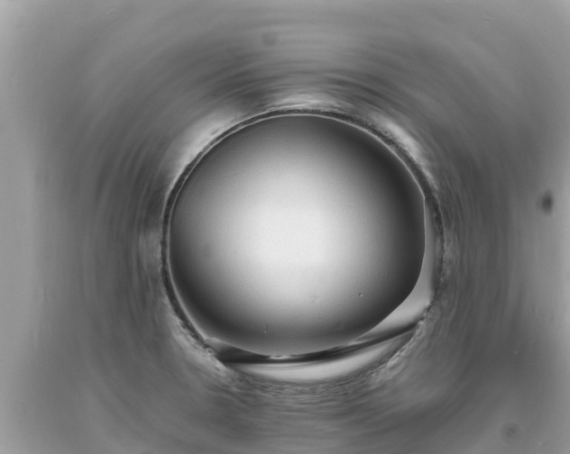 X0000093731330200710231144
