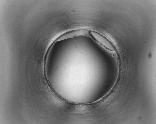 X0000093731332200710231144