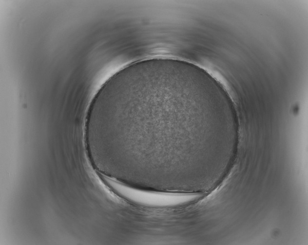 X0000093731333200710231144