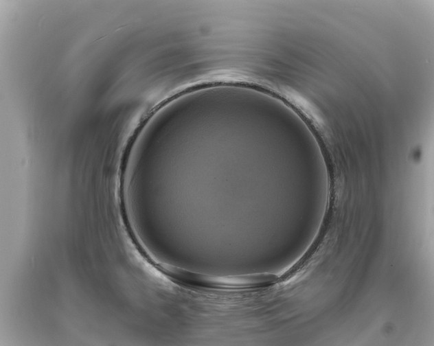 X0000093731334200710231144