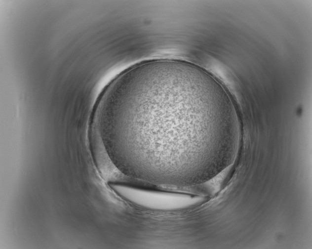 X0000093731336200710231144
