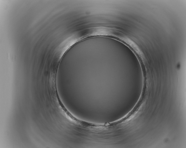X0000093731337200710231144