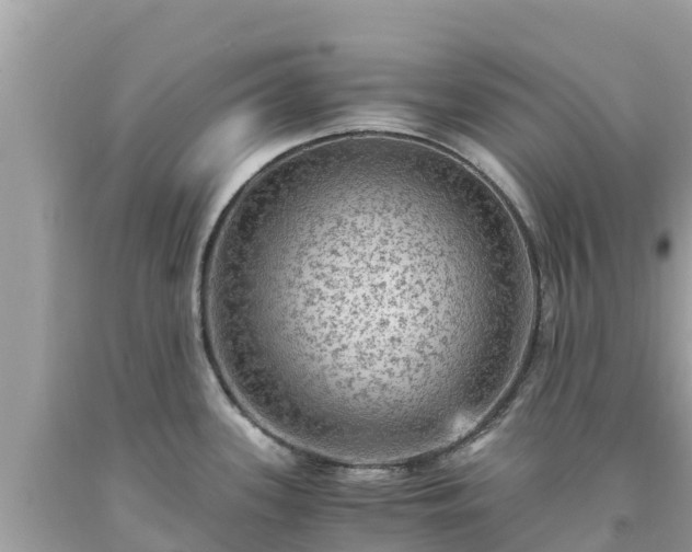 X0000093731339200710231144