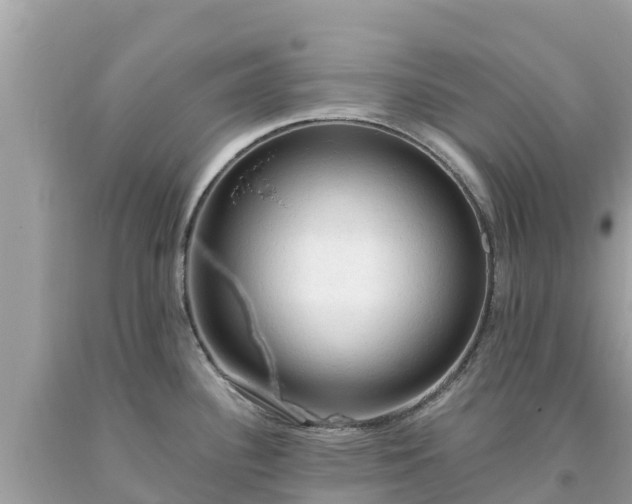 X0000093731340200710231144
