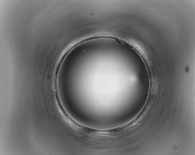 X0000093731342200710231144
