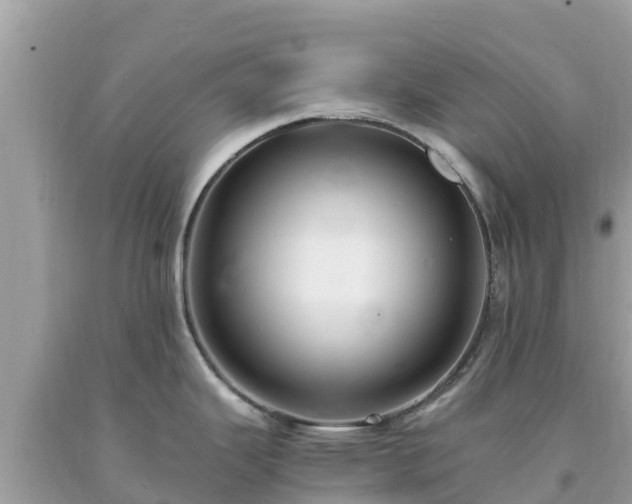 X0000093731343200710231144
