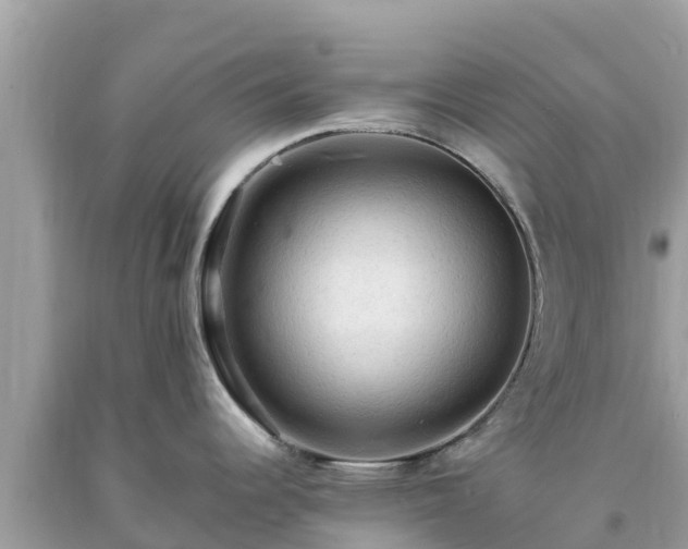X0000093731344200710231144