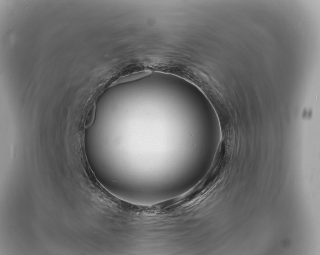 X0000093731345200710231144