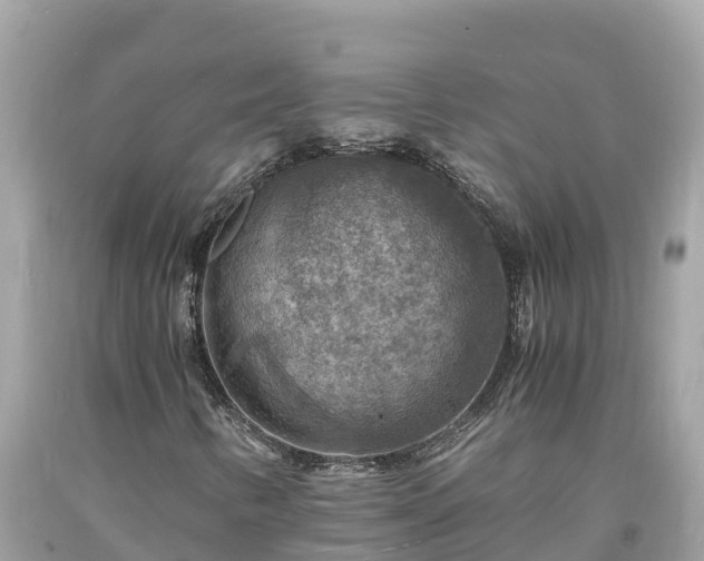 X0000093731346200710231144