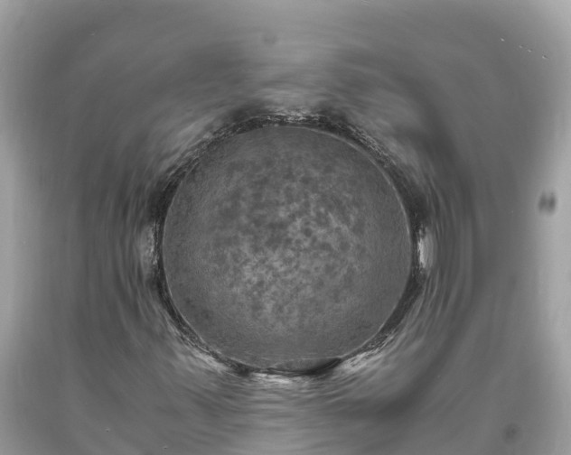 X0000093731347200710231144