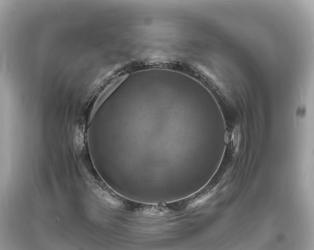 X0000093731348200710231143