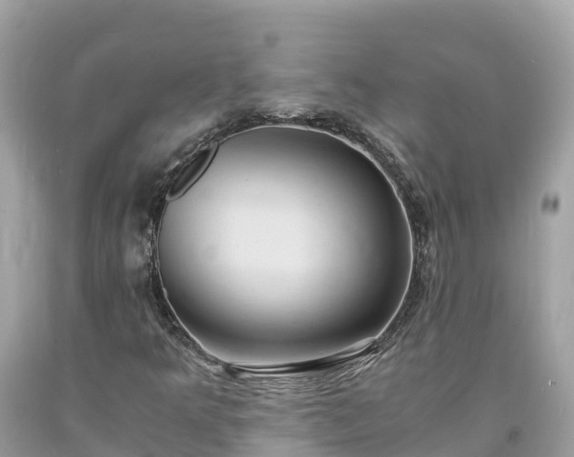 X0000093731349200710231143