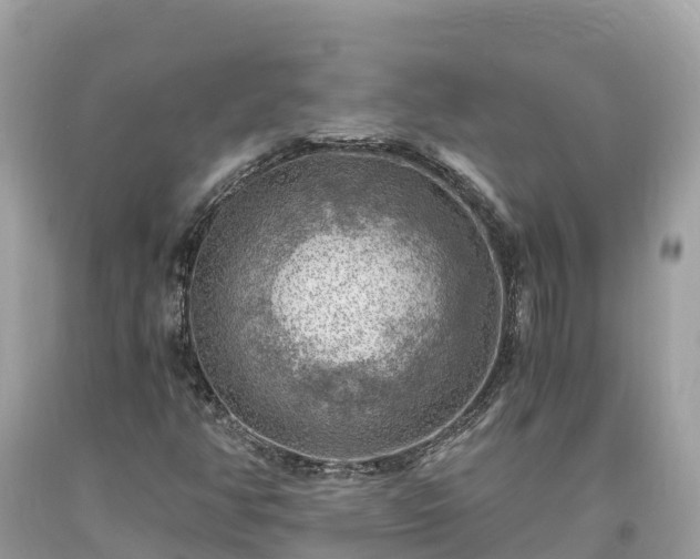 X0000093731350200710231143