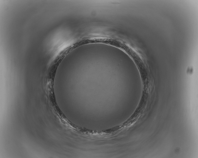 X0000093731351200710231143