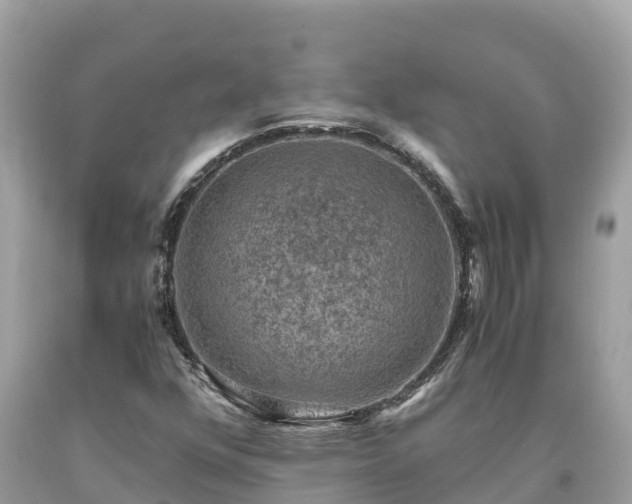 X0000093731352200710231143