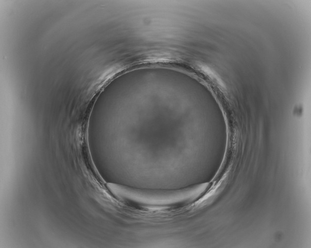 X0000093731353200710231143