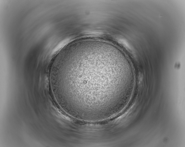 X0000093731354200710231143