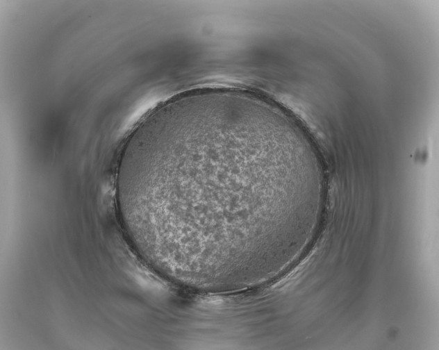 X0000093731355200710231143