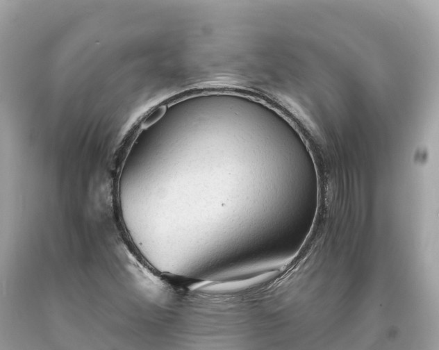 X0000093731356200710231143