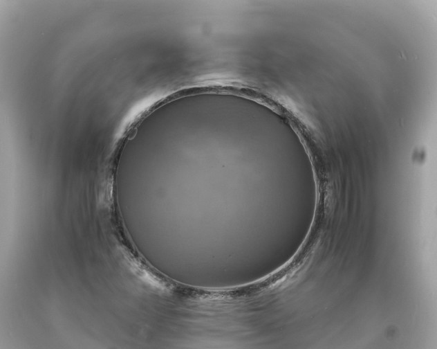 X0000093731358200710231143