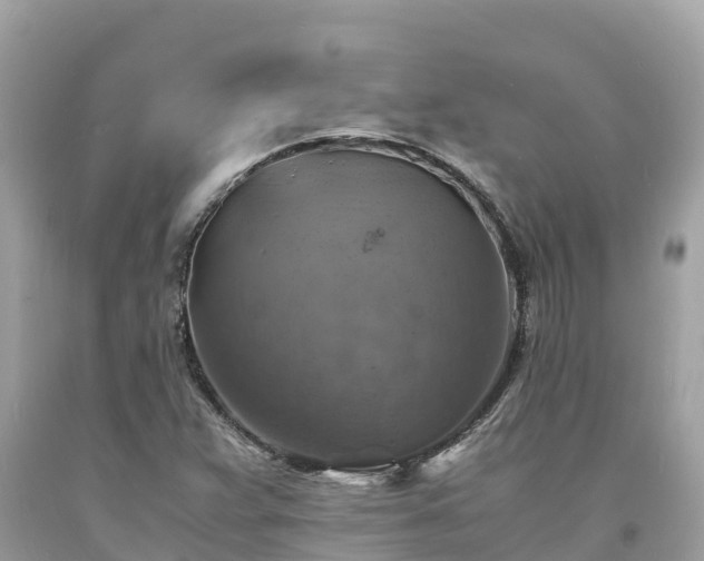 X0000093731359200710231143