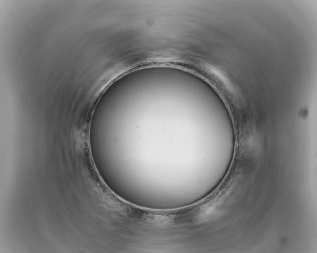 X0000093731361200710231143