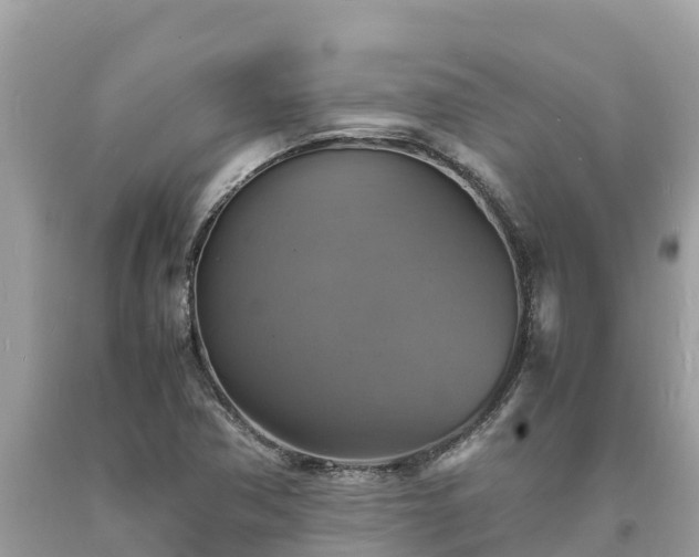 X0000093731362200710231143