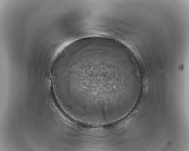 X0000093731363200710231143