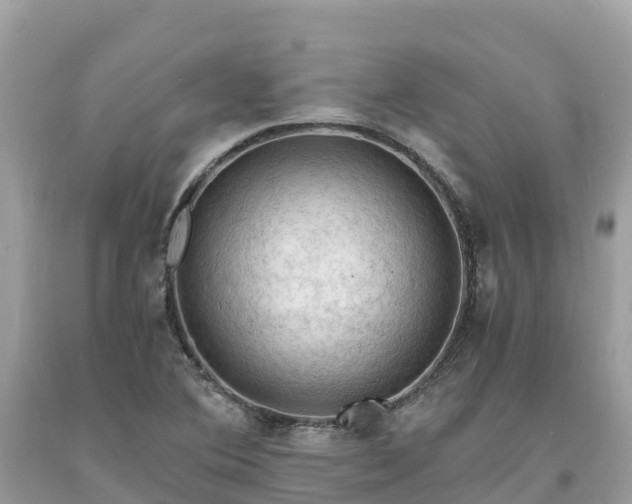 X0000093731364200710231143
