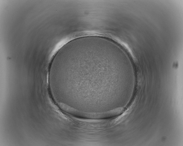 X0000093731365200710231143