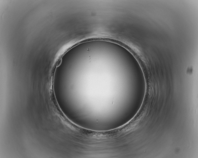 X0000093731366200710231143