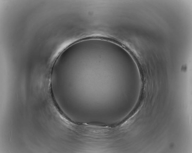X0000093731367200710231143