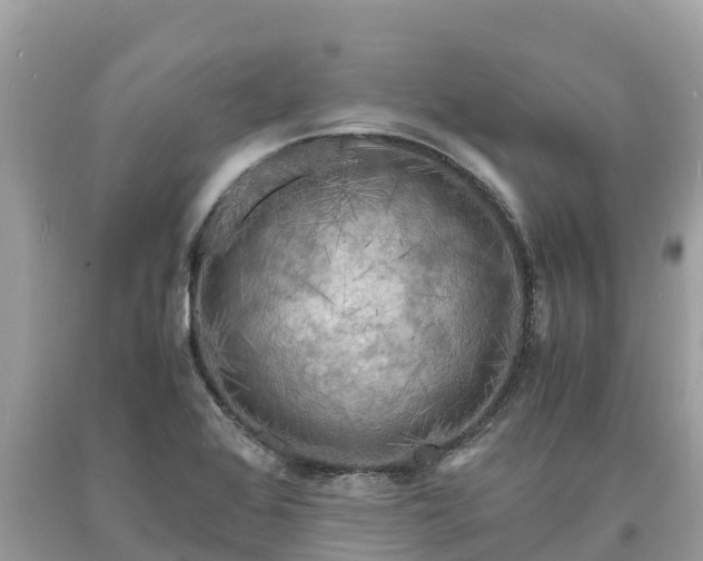 X0000093731368200710231143