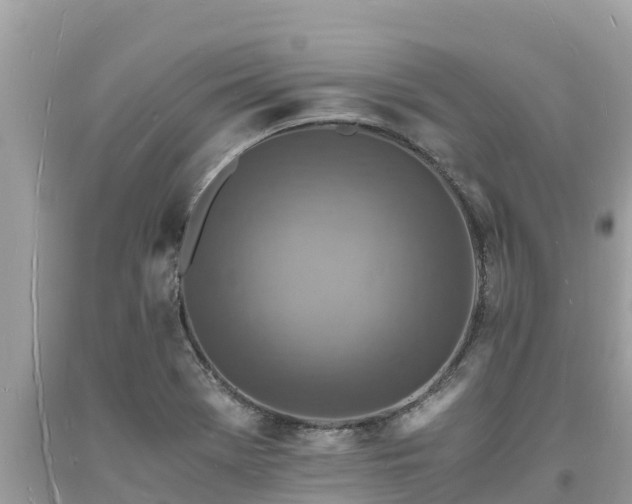 X0000093731369200710231143
