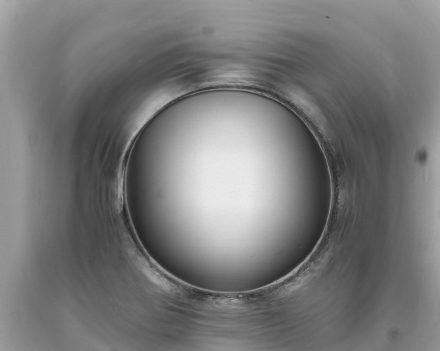 X0000093731370200710231143