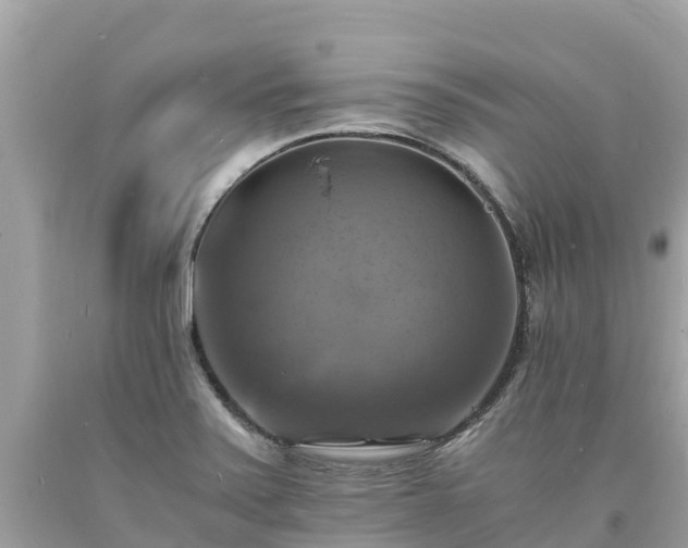 X0000093731371200710231143