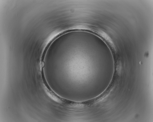 X0000093731372200710231143