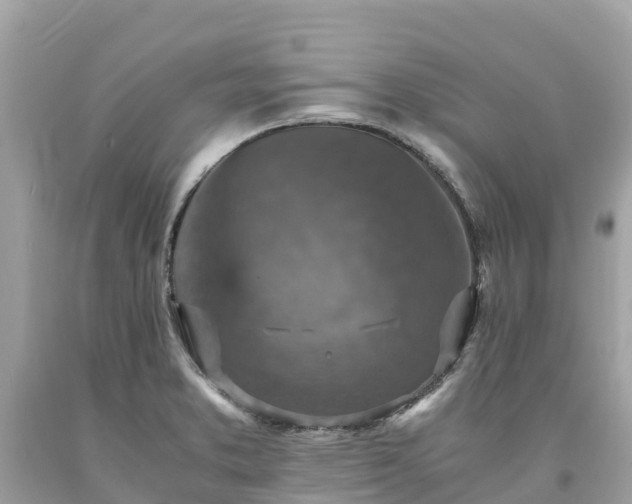 X0000093731373200710231143
