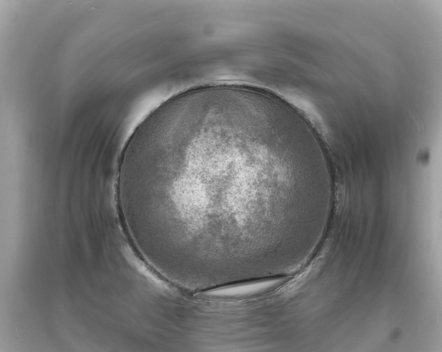 X0000093731374200710231143