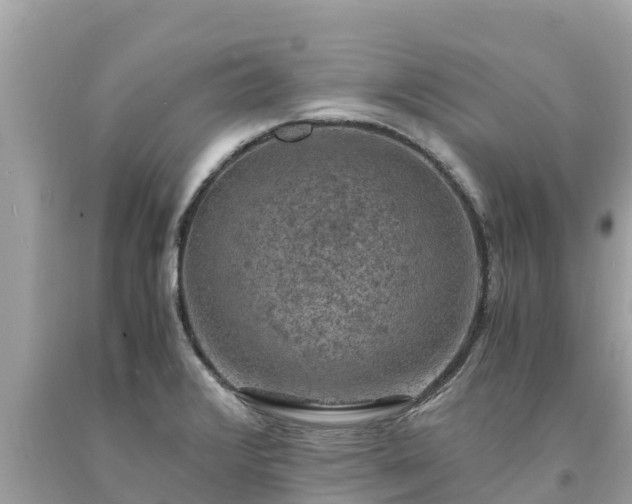 X0000093731376200710231143
