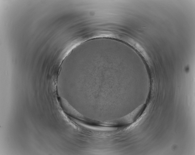 X0000093731377200710231143