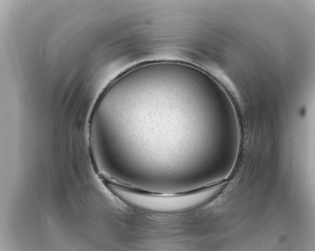 X0000093731380200710231143
